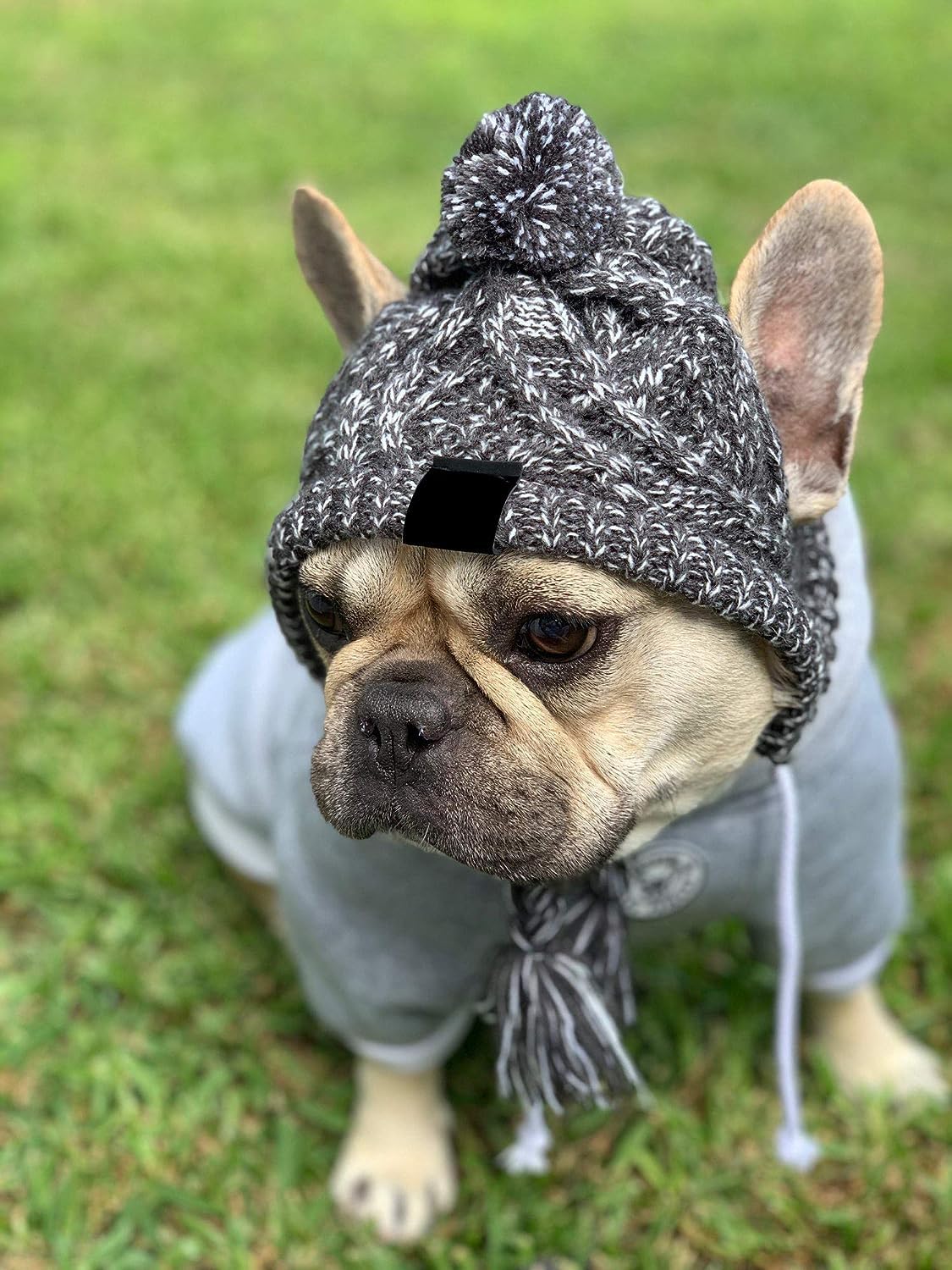 HDKUW holiday dog hat adds festive style for events