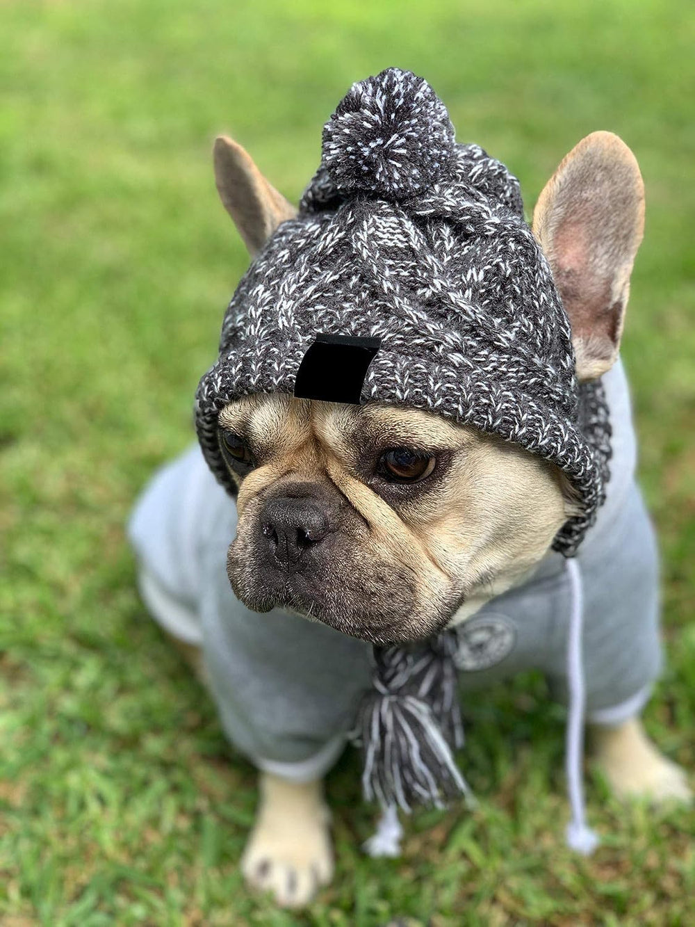 HDKUW holiday dog hat adds festive style for events