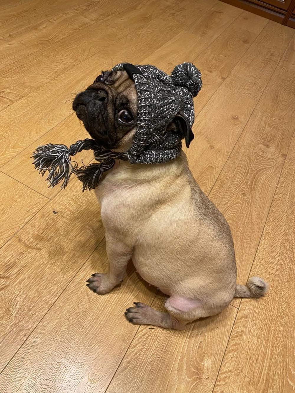 HDKUW pet winter hat ideal for daily wear and photos