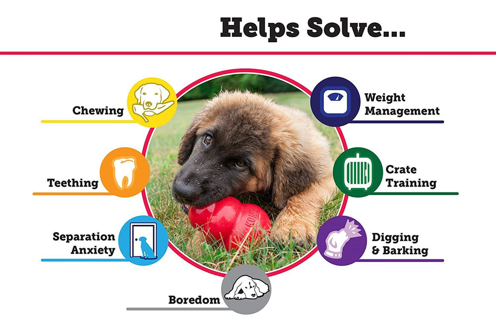 HDP Kong Classic dog-fetch action shows unpredictable bounce for interactive play