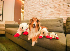 HDP Lambchop plush dog toy 24 inch white with squeaker for interactive fetch.