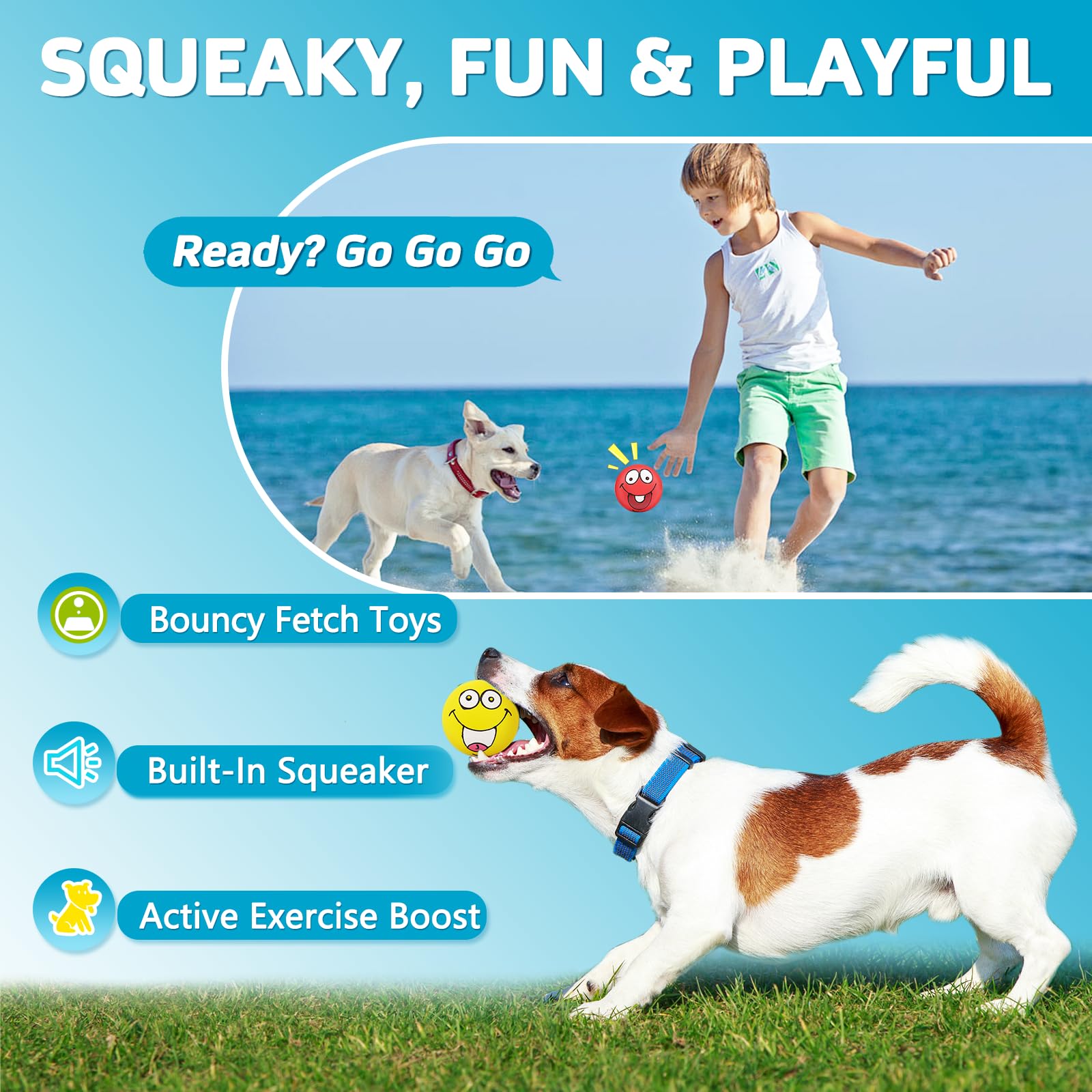 HDSX 2.8-inch squeaky ball shown for easy retrieval and lively squeaks.