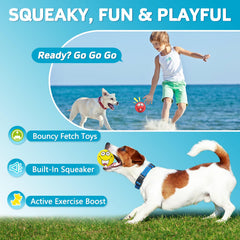 HDSX 2.8-inch squeaky ball shown for easy retrieval and lively squeaks.