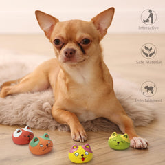 HDSX Squeaky dog toys pack-shot showcases six-piece set for versatile play.