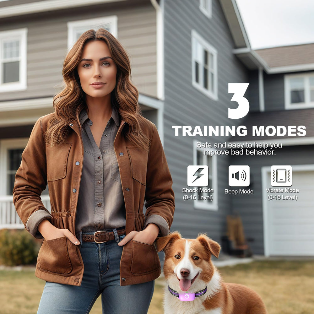 Heaflex remote control for training enabling multi dog channels during outdoor sessions