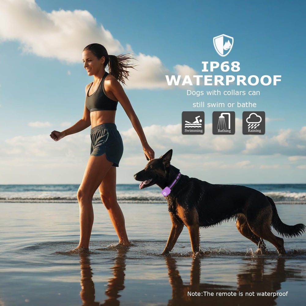 Silicone covers protecting a dog's neck during training with Heaflex