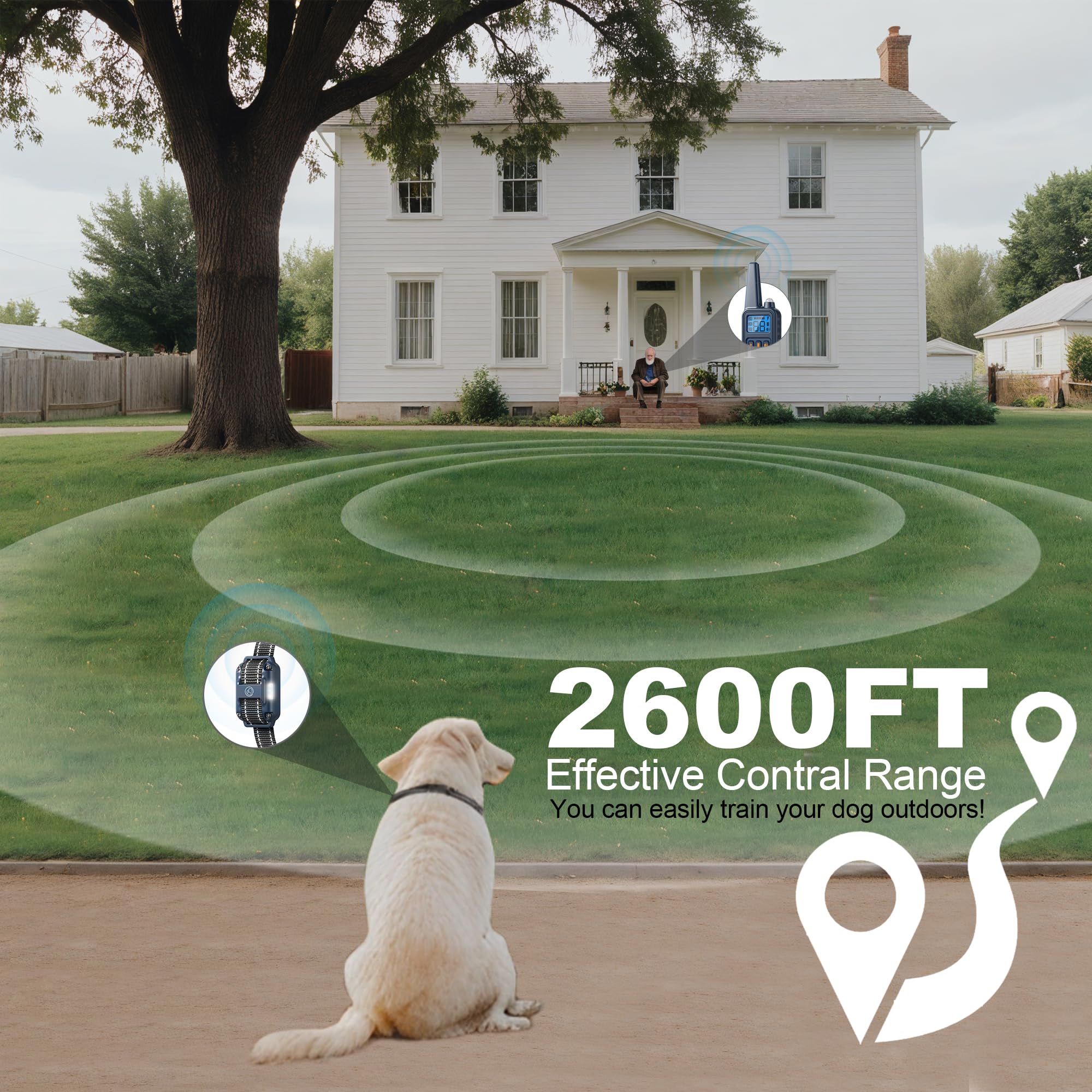Heaflex shock collar soft strap improves comfort across breeds.