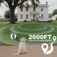Heaflex shock collar soft strap improves comfort across breeds.