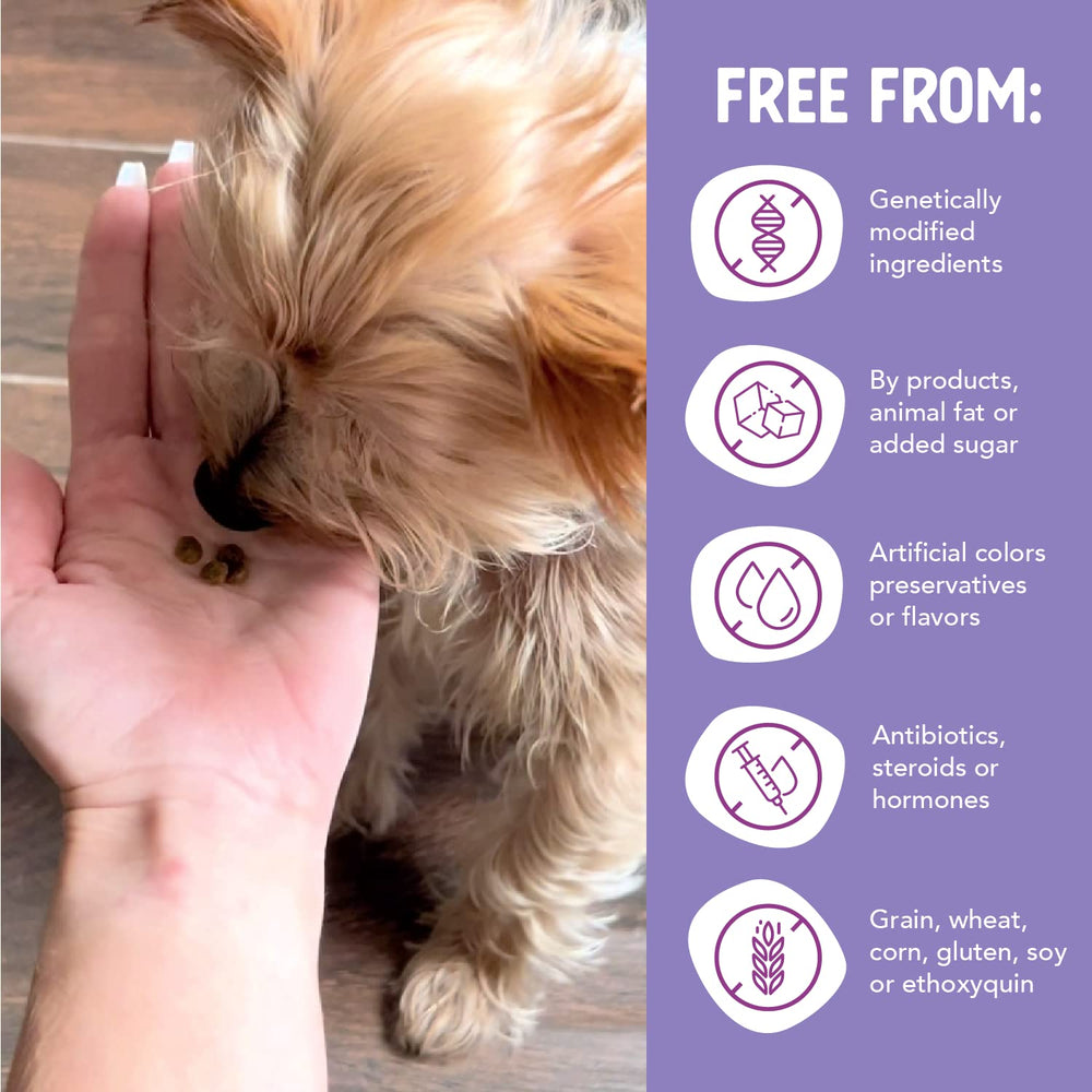 Health Extension 30+ superfoods provide antioxidant-rich nutrition