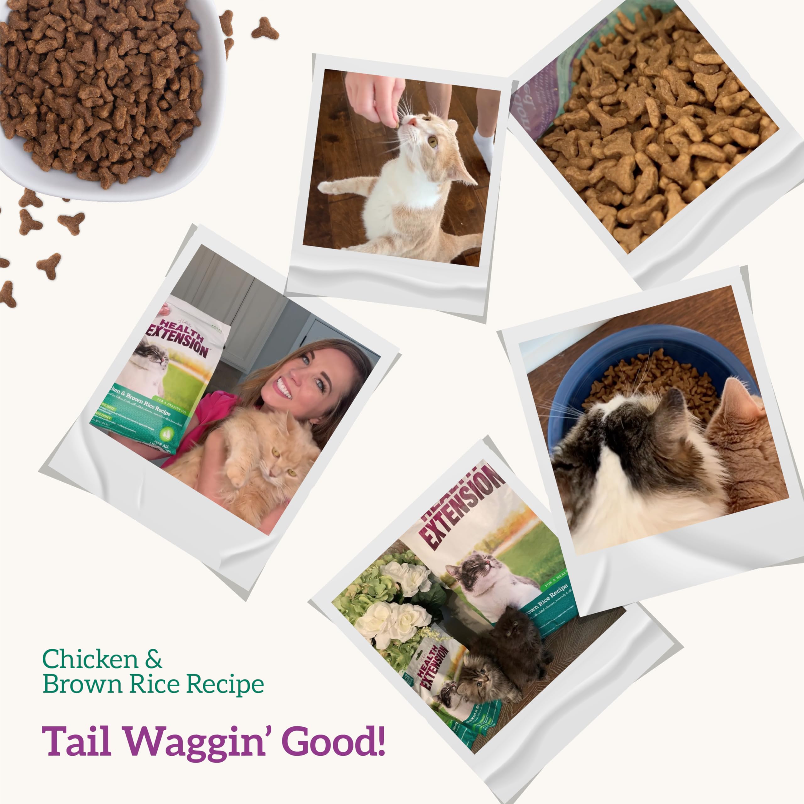 Health Extension all-life-stage nutrition supports kittens to seniors.