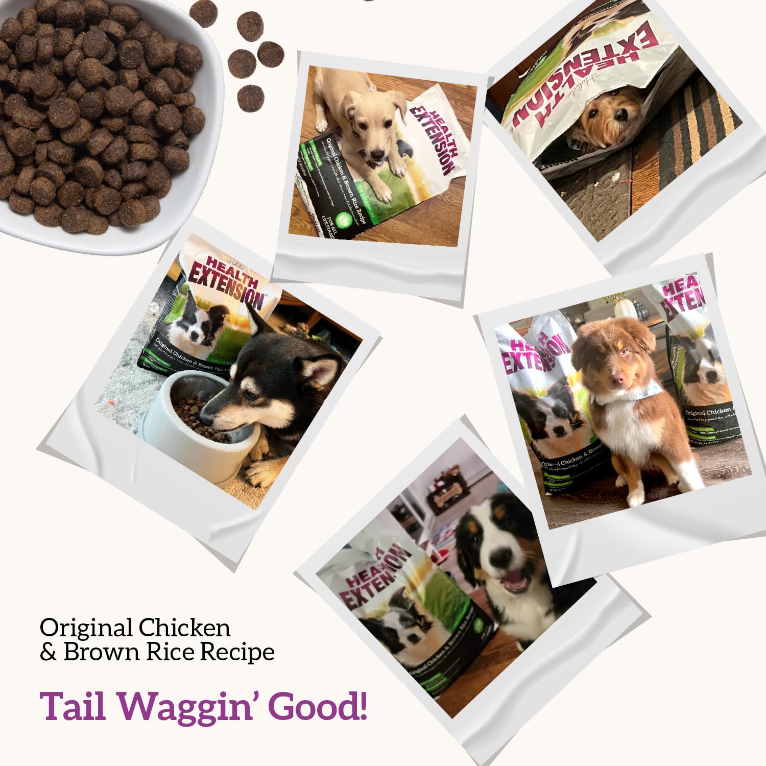 Health Extension All Life Stages — suitable for puppies, adults, and seniors.