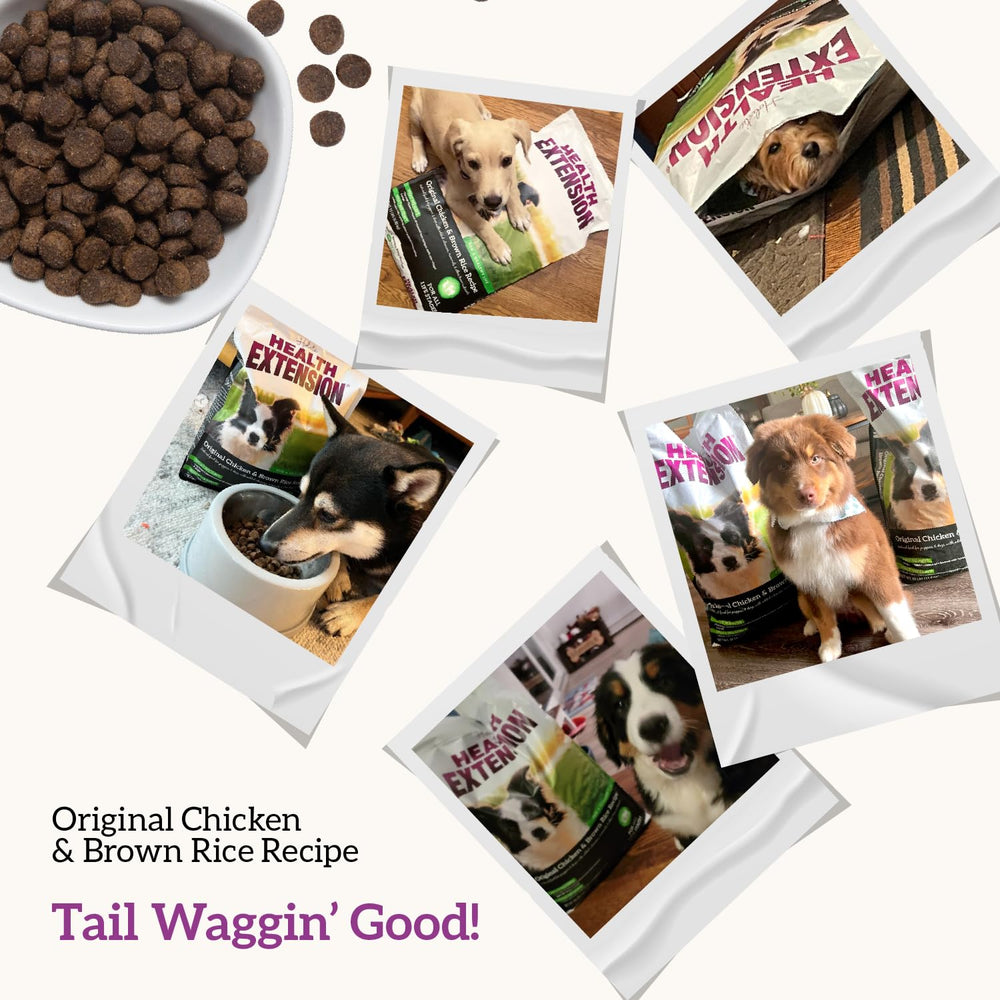 Health Extension All Life Stages — suitable for puppies, adults, and seniors.