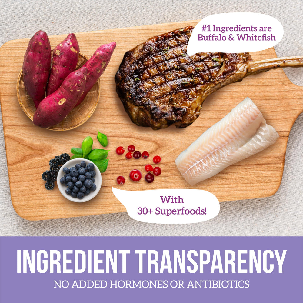 Health Extension balanced-diet image conveys nourishing bites supporting overall vitality