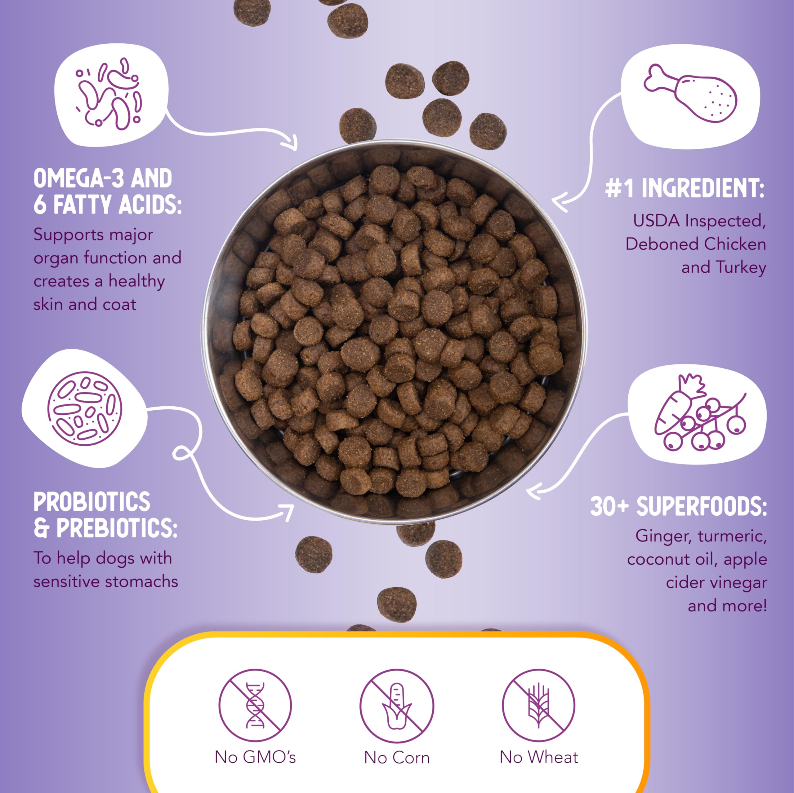 Health Extension blueberries cranberries turmeric closeup emphasizes immune-supporting antioxidants.