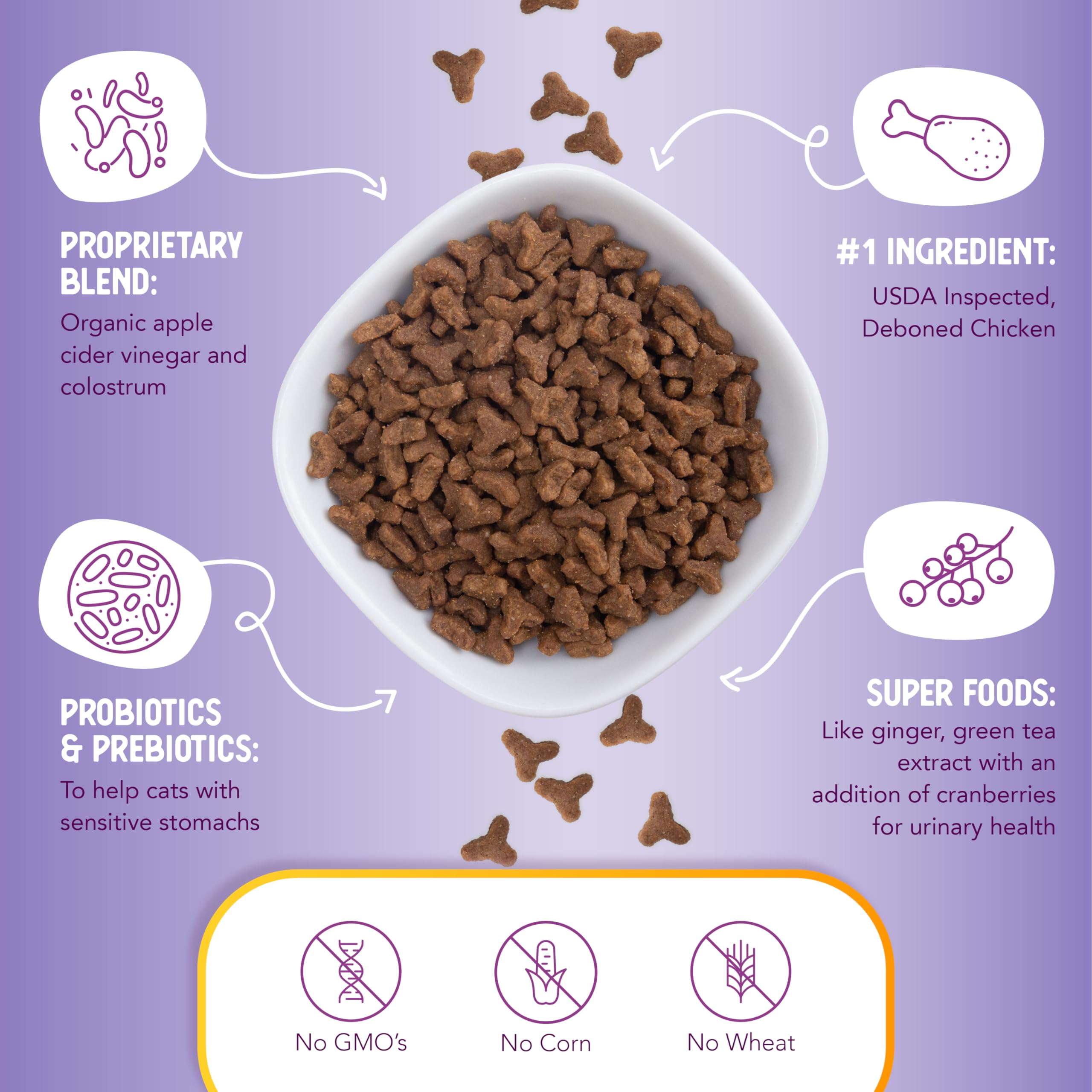 Health Extension cat enjoys dry food at mealtime.