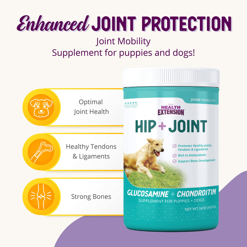 Health Extension chondroitin glucosamine ingredients panel highlights joint-support nutrients.