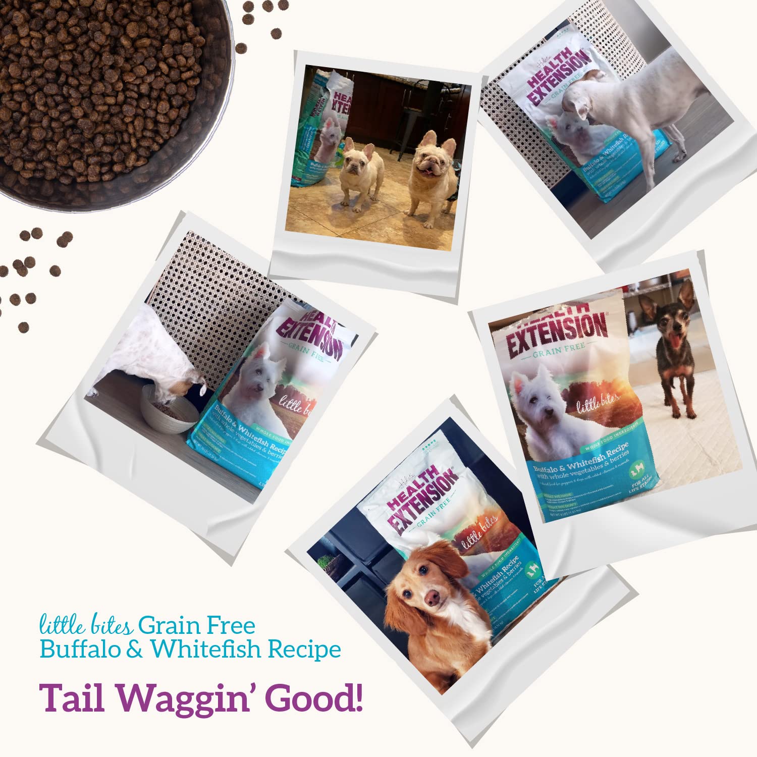 Health Extension coconut-oil shot signals healthy energy and coat condition in small breeds.