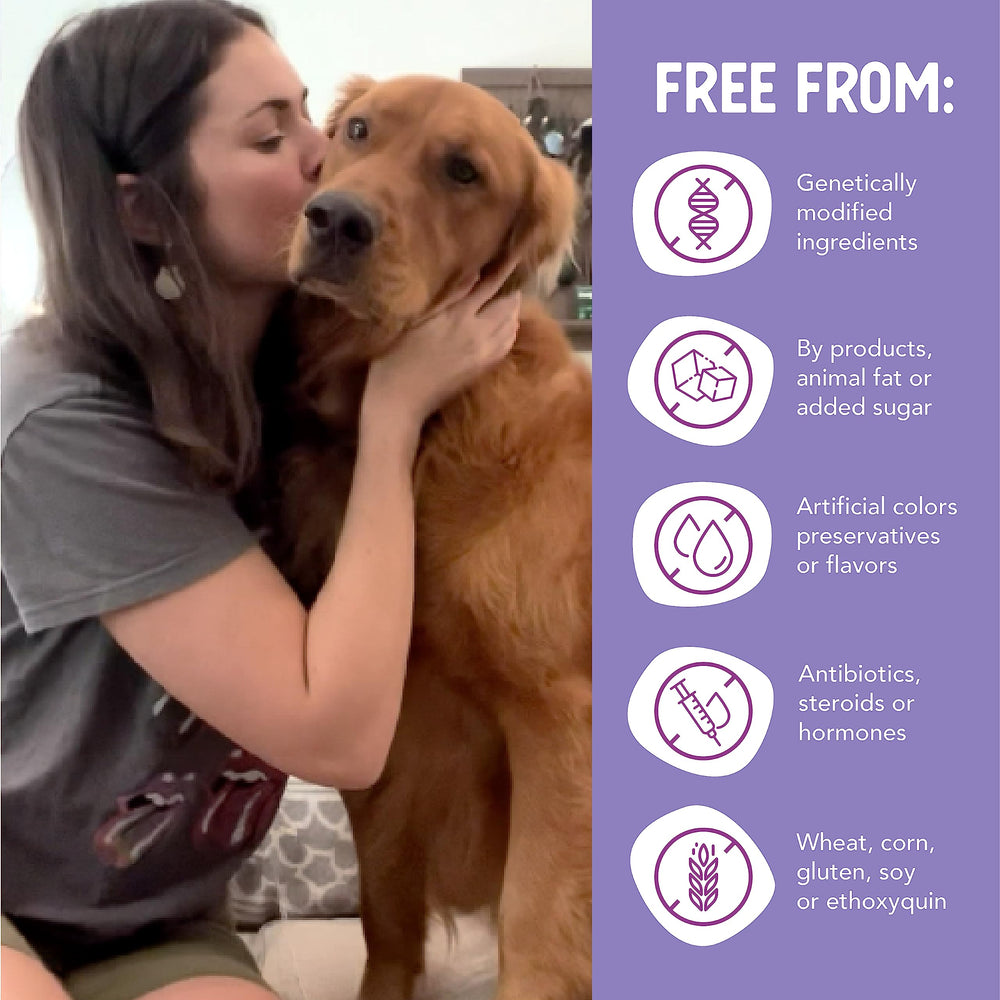 Health Extension fórmula de fácil digestión para perros con estómagos sensibles.
