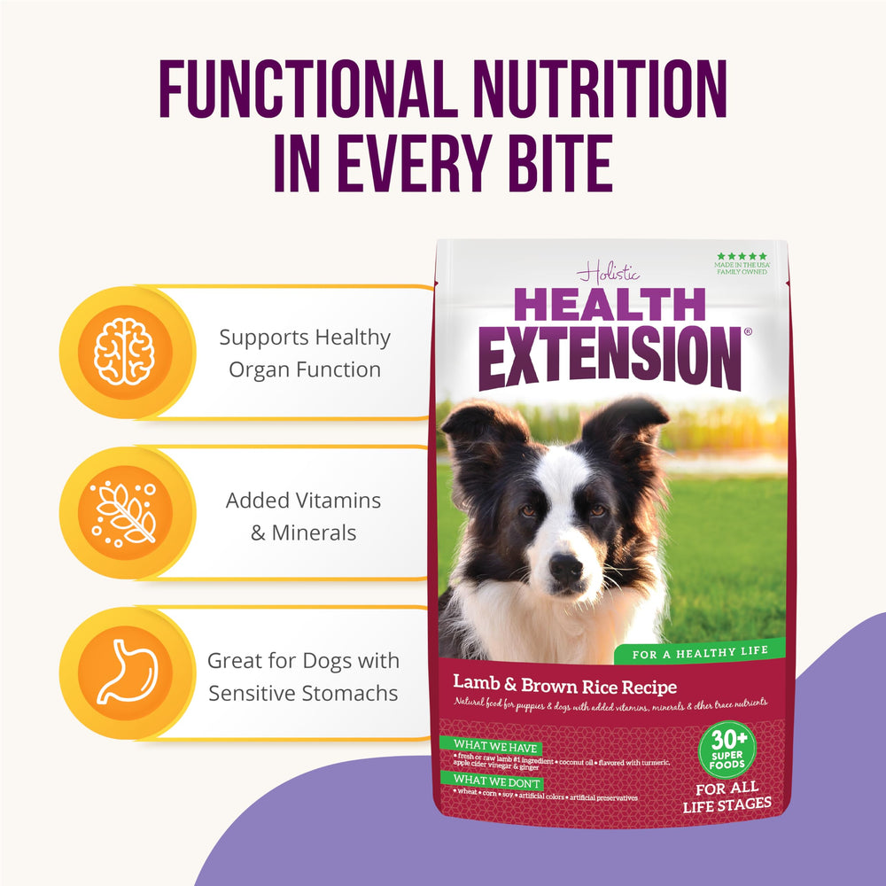 Health Extension digestive-immune-health graphic highlights probiotics and antioxidants