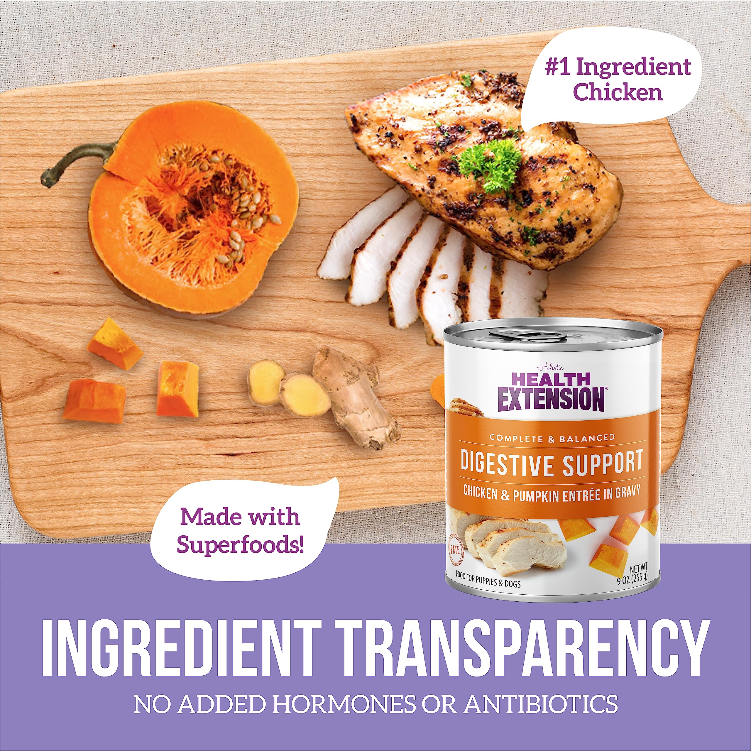Health Extension Digestive gravy detail showcasing rich creamy texture