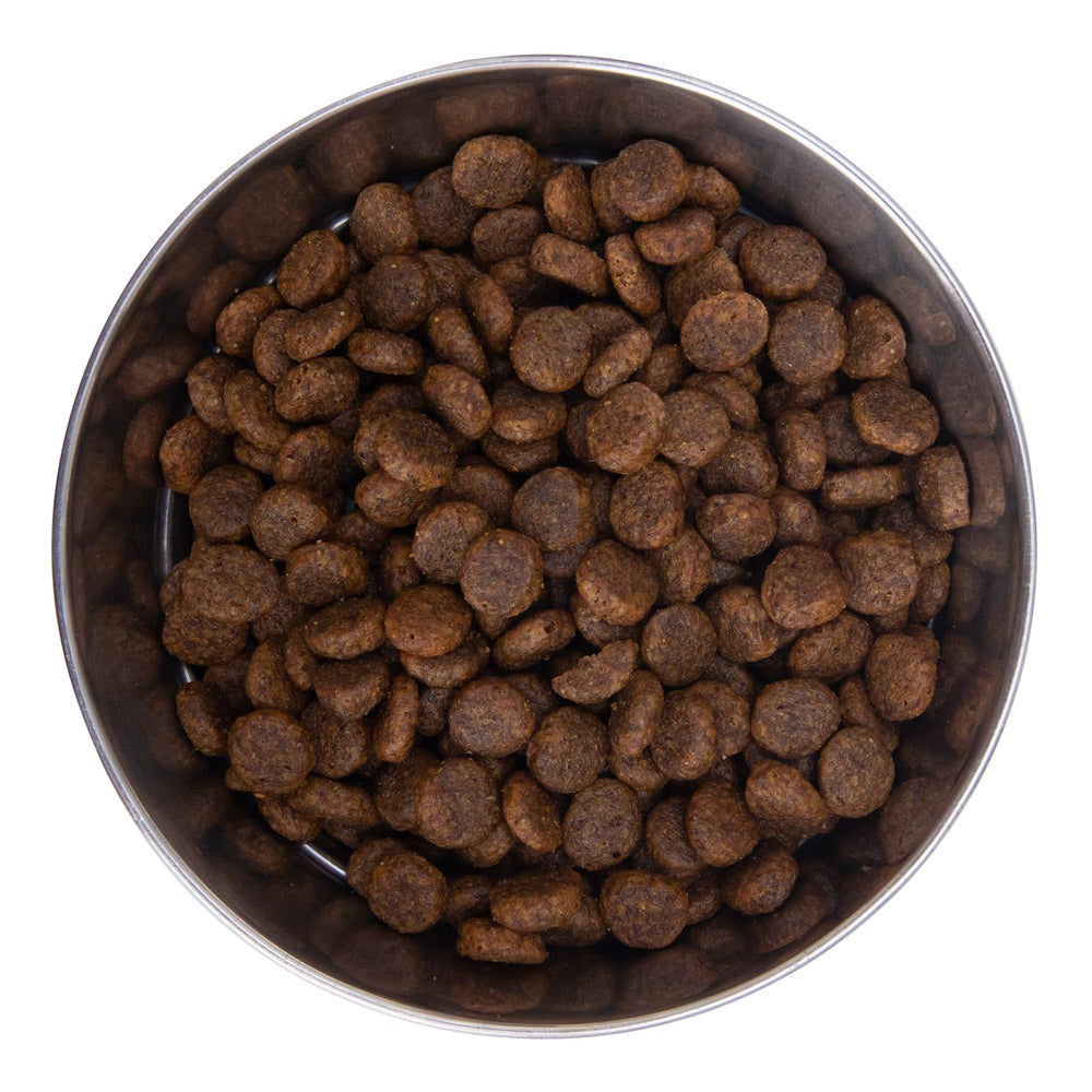 Health Extension dog bowl serve displays a balanced meal for all life stages.
