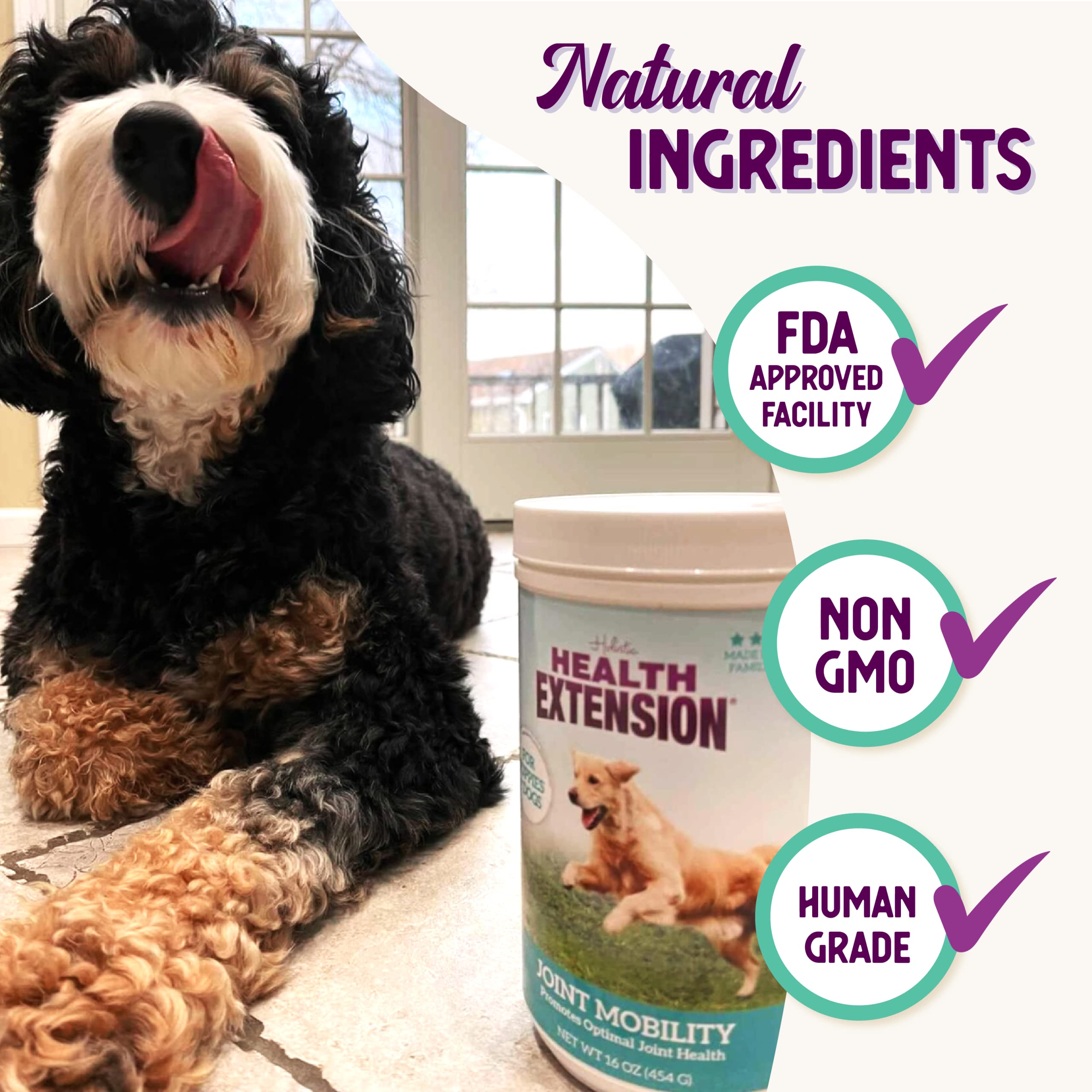 Health Extension dosing scoop shows weight-based dosing guidance for dogs.