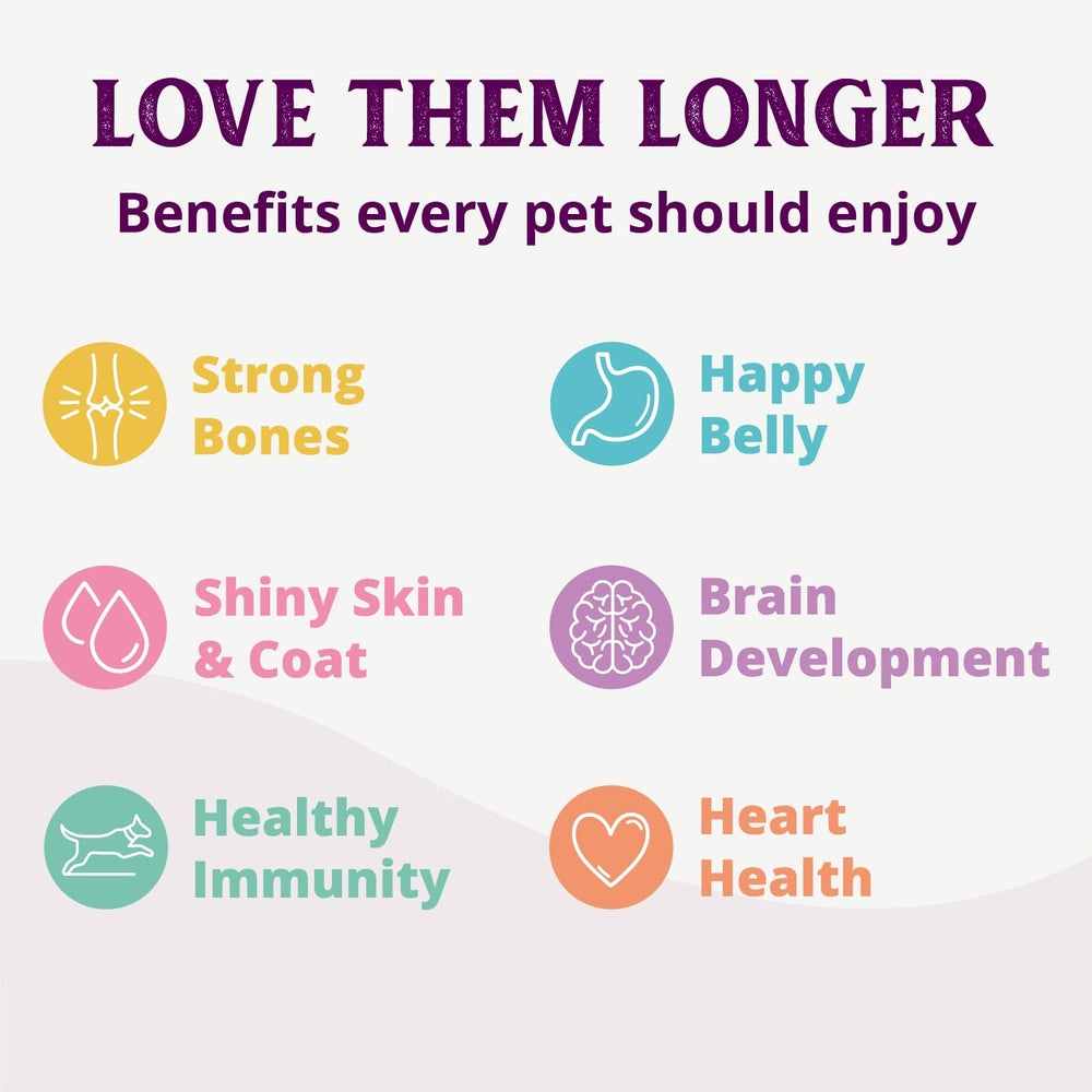 Health Extension easy-digest wet dog food formula supports comfortable digestion.