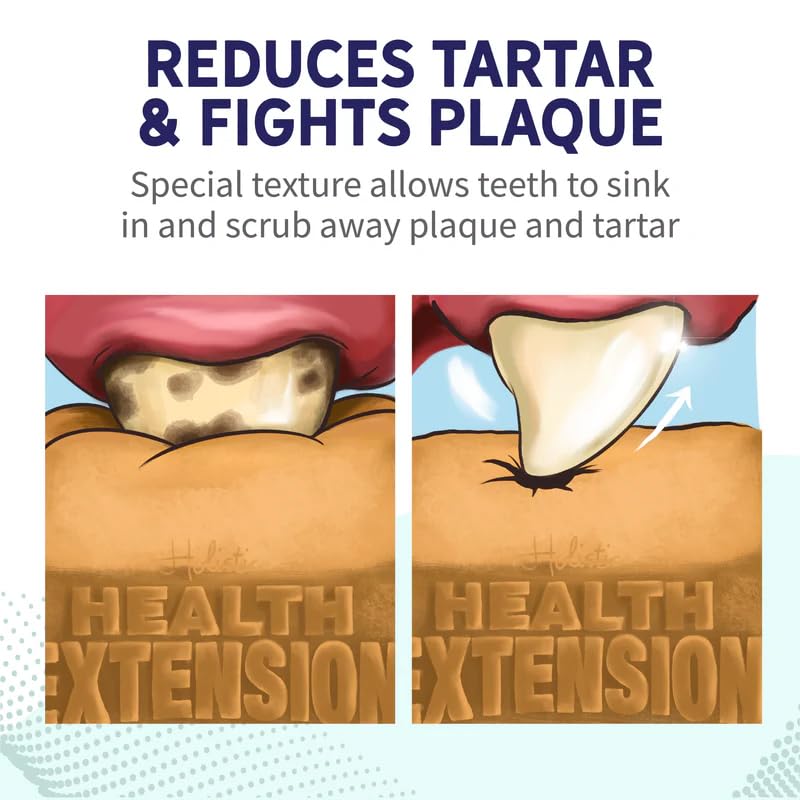 Health Extension Fresh Breath Dental Bones pack2 gums-benefits illustrate omega-rich flaxseed oil support for comfortable gums.