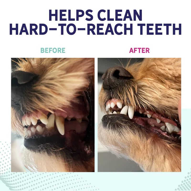 Health Extension Fresh Breath Dental Bones pack2 texture-detail shows ridges designed to engage dogs during chews.