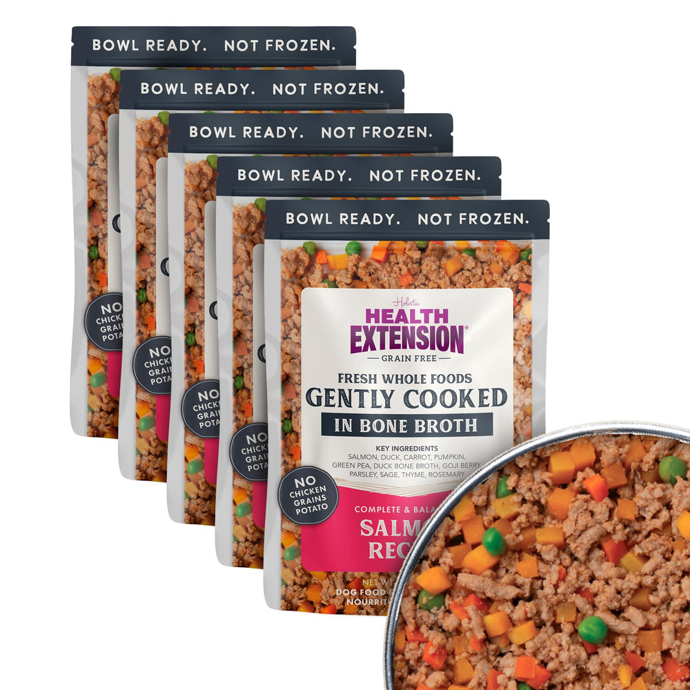 Health Extension gently cooked salmon dog food bowl ready to serve, tasty wholesome meal