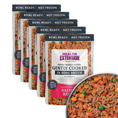 Health Extension gently cooked salmon dog food bowl ready to serve, tasty wholesome meal