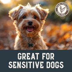 Health Extension chicken tenders training piece ideal for small dog sessions