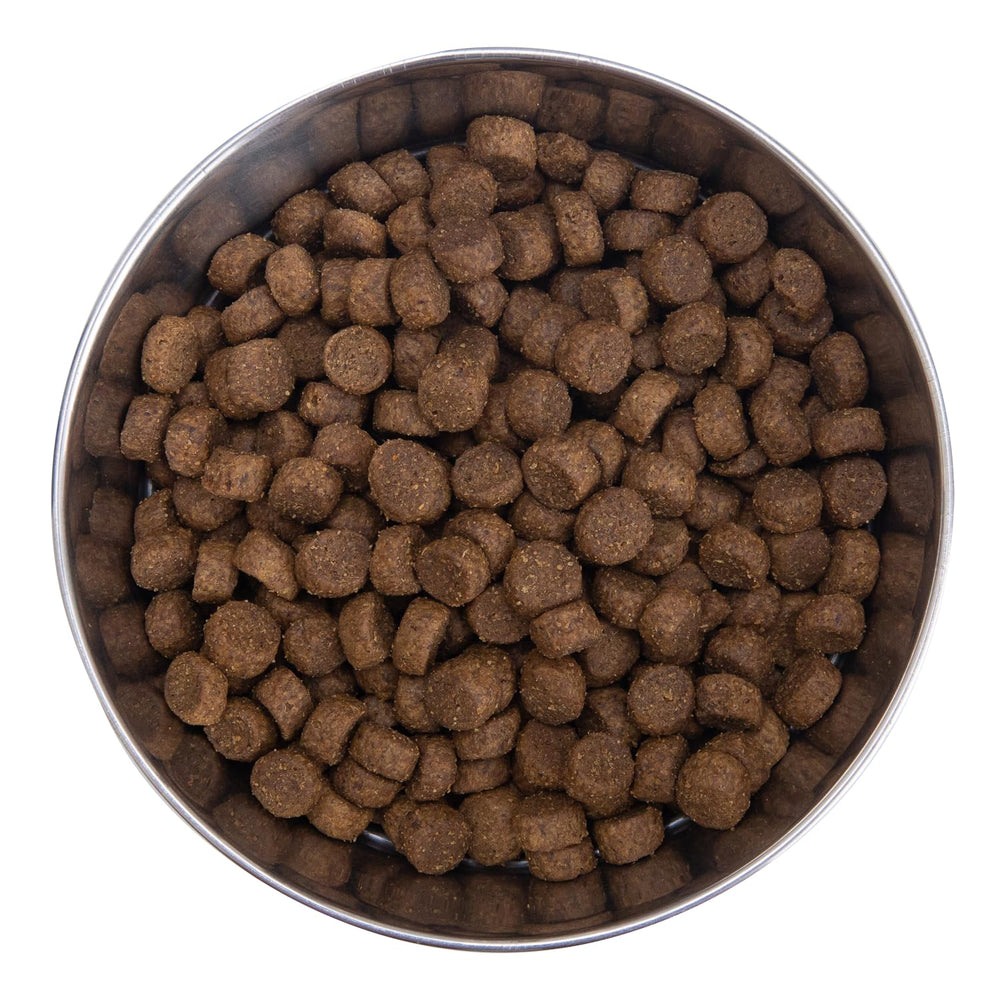 Health Extension dry dog food bowl with kibble demonstrates balanced meal for energy and coat health.