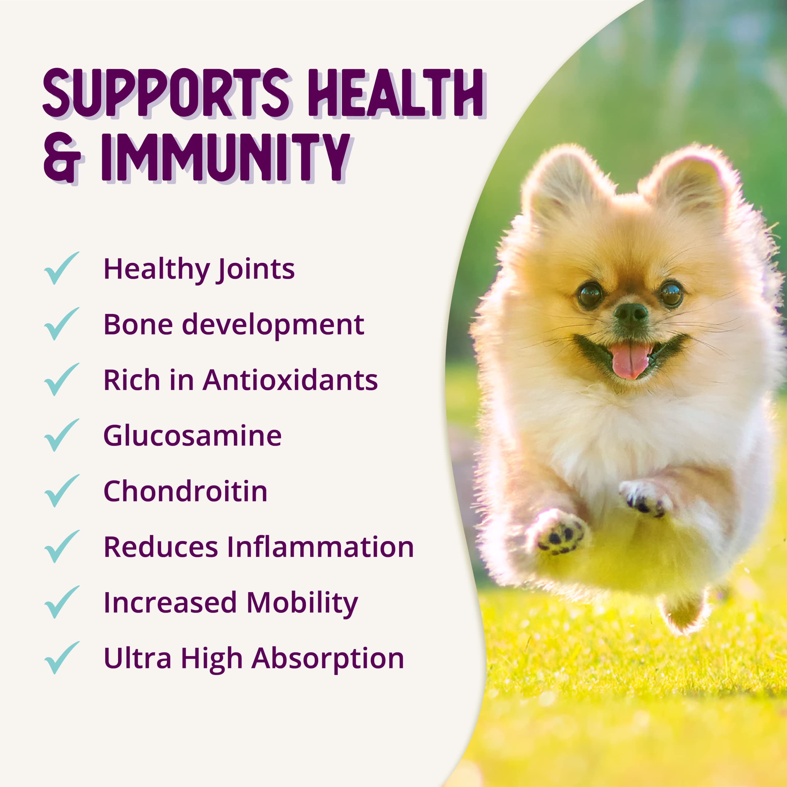 Health Extension happy-dog-walking scene suggests mobility support with daily use.