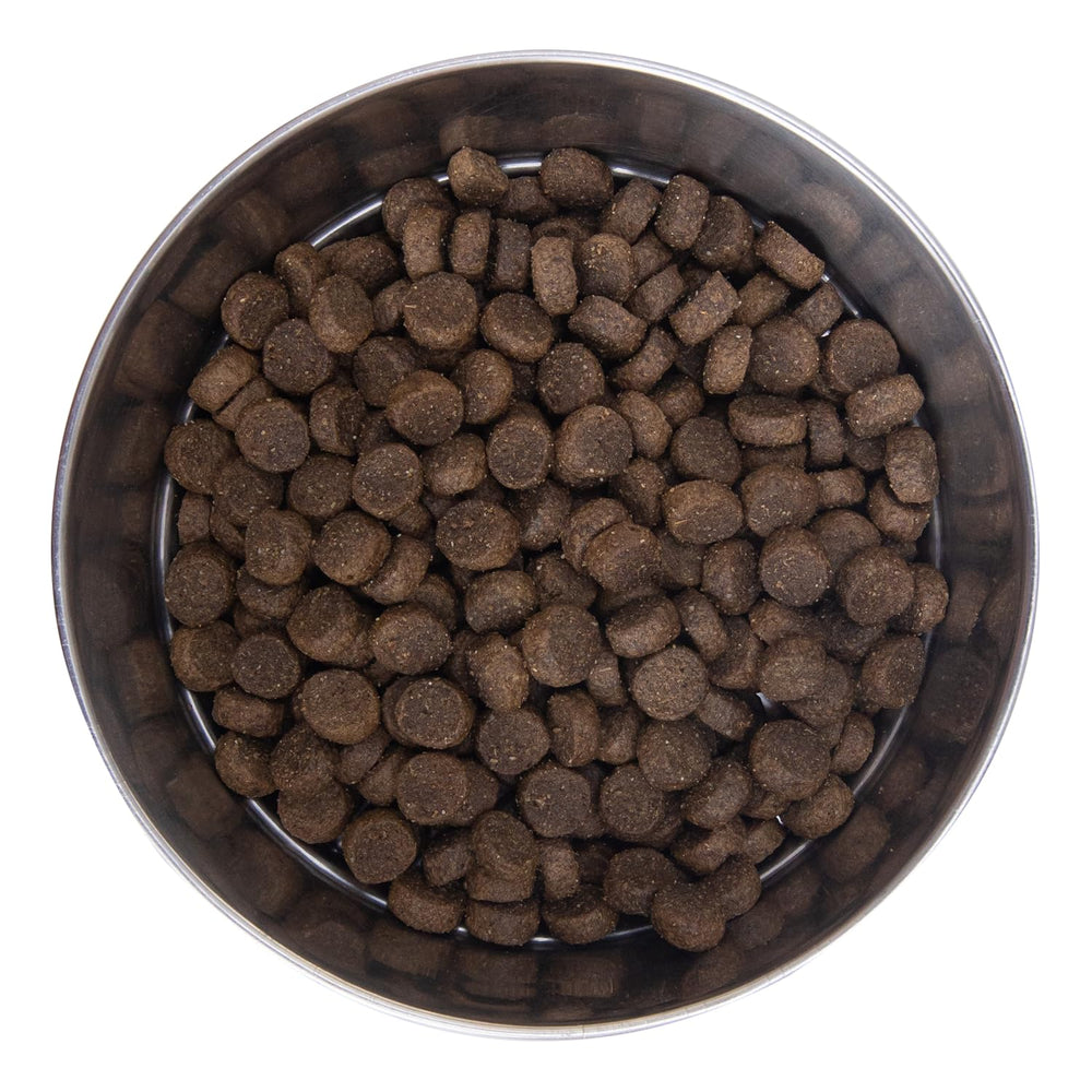 Health Extension Lamb & Brown Rice kibble closeup shows crunchy texture.