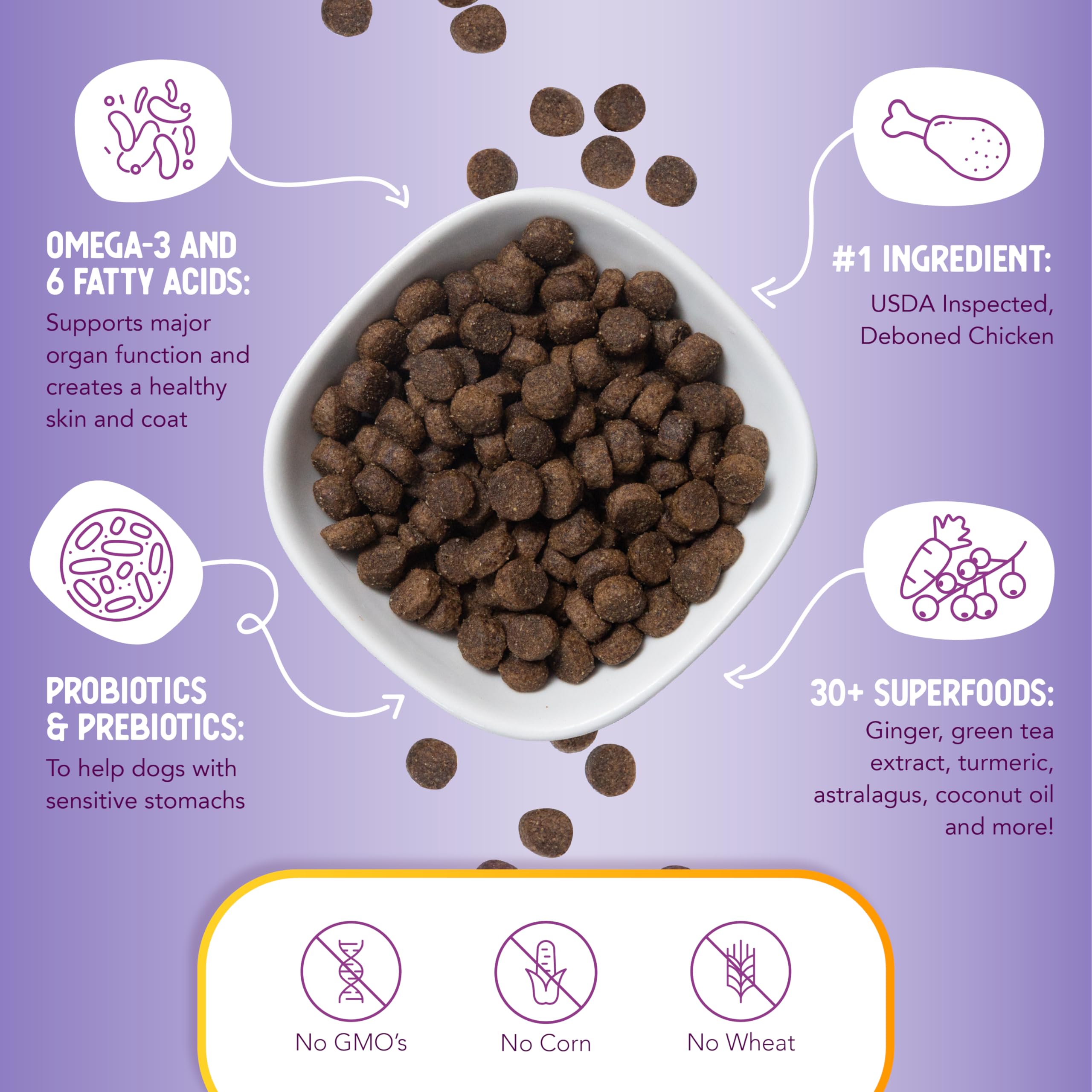 Health Extension Lite flaxseed and coconut oil graphic promoting skin and coat benefits.