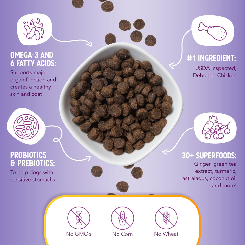 Health Extension Lite flaxseed and coconut oil graphic promoting skin and coat benefits.