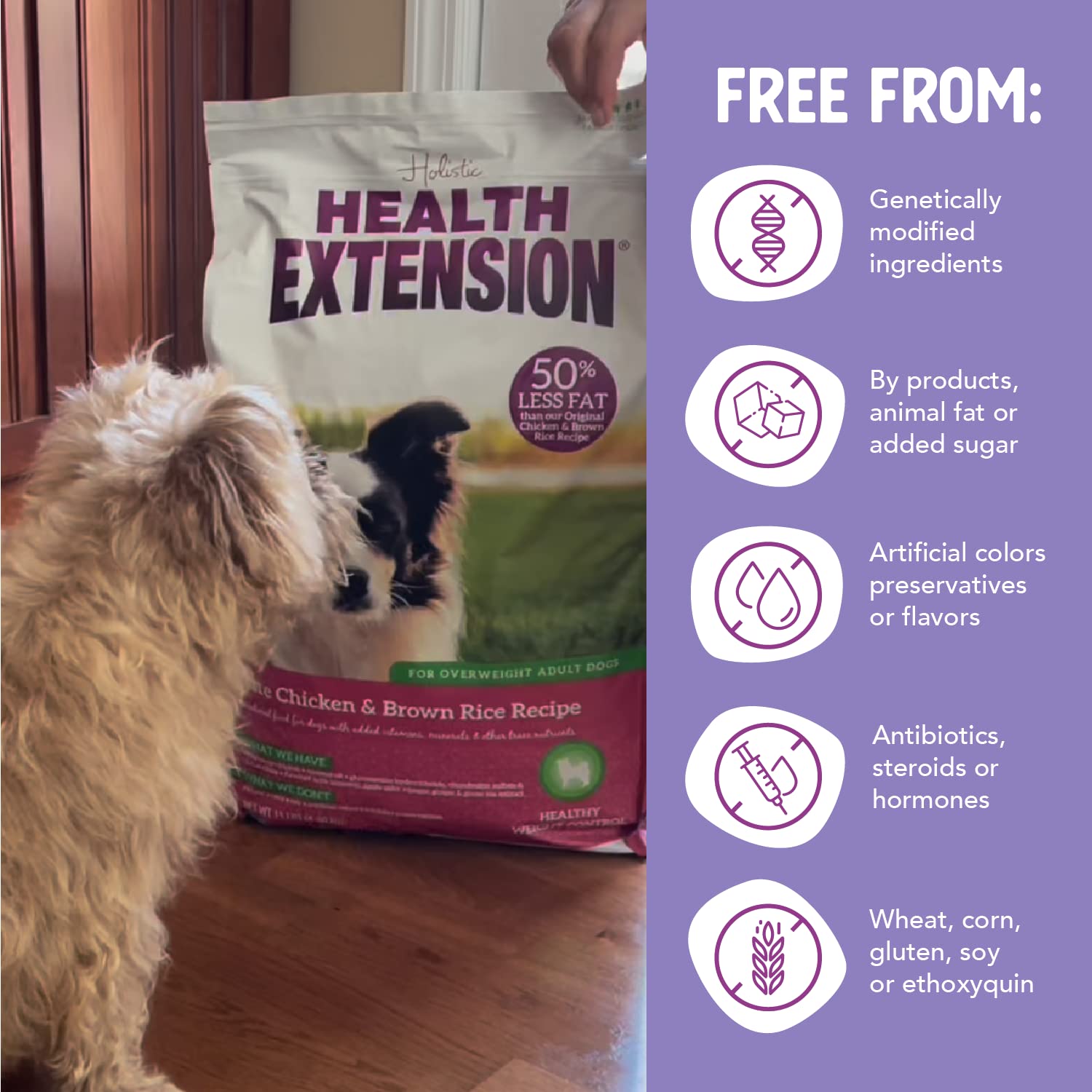 Health Extension Lite no artificial additives banner signaling clean ingredients.