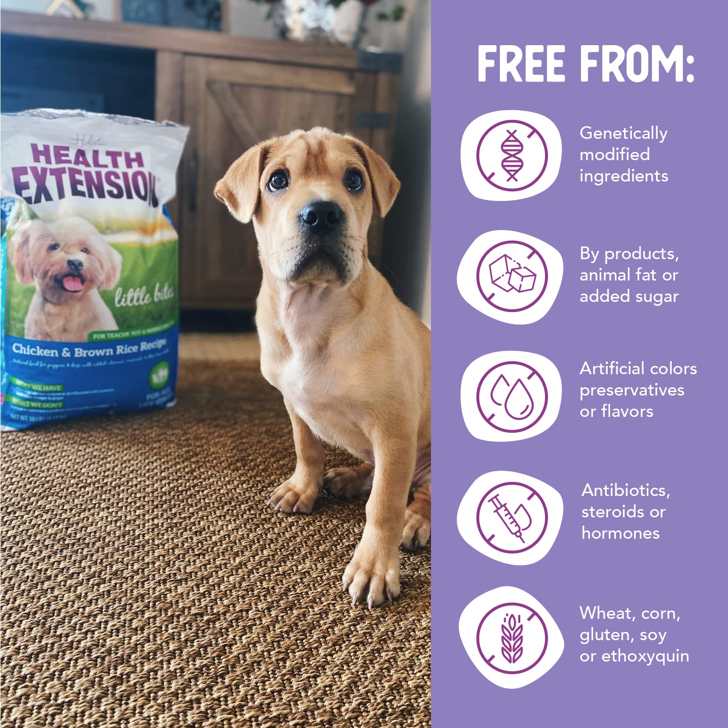 Health Extension Little Bites blueberries-cranberries shot emphasizes antioxidant-rich superfoods for tiny breeds