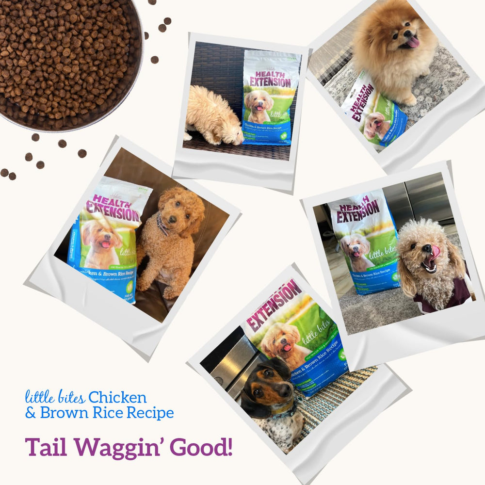 Health Extension Little Bites coconut oil flaxseed focus on skin and coat