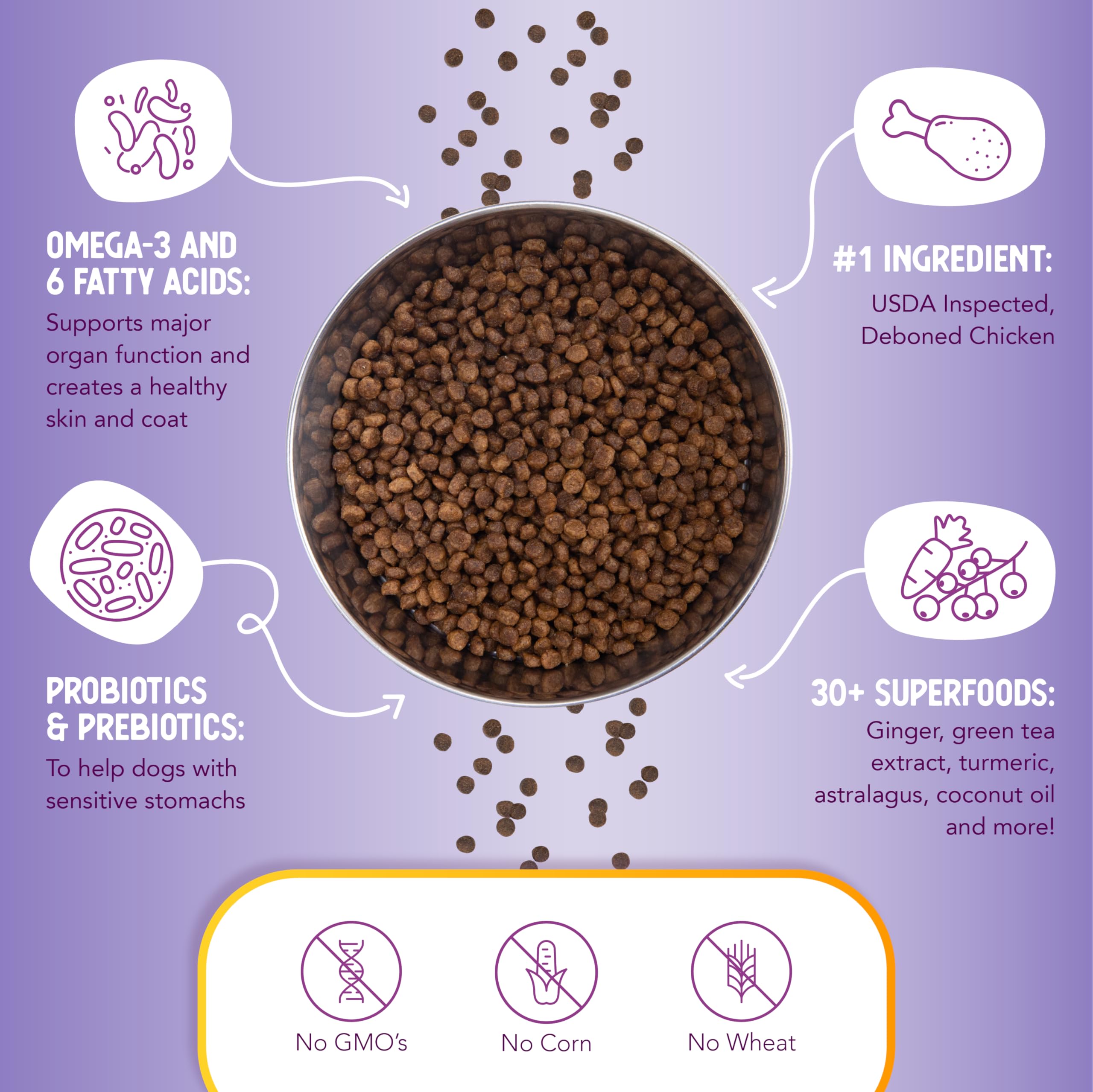 Health Extension Little Bites probiotics-prebiotics label frame communicates gut-friendly support for small dogs