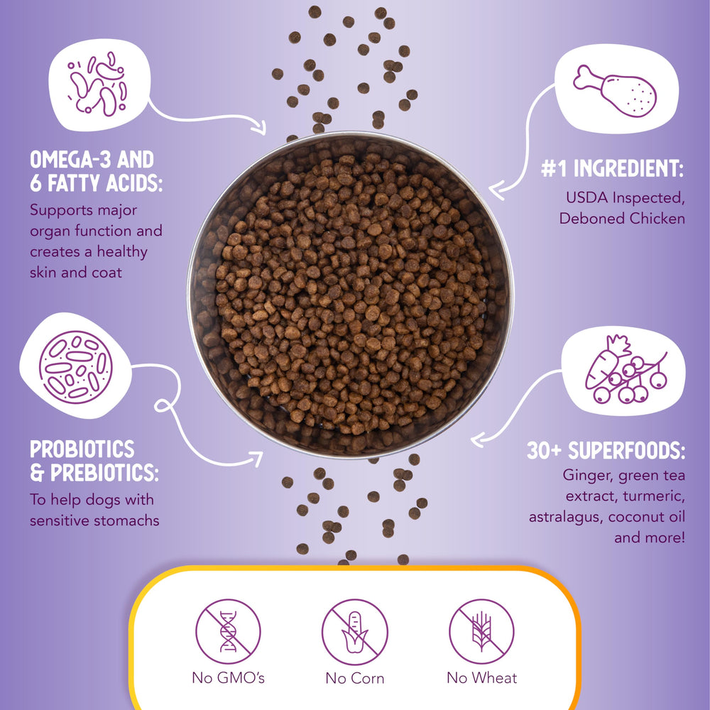 Health Extension Little Bites probiotics-prebiotics label frame communicates gut-friendly support for small dogs