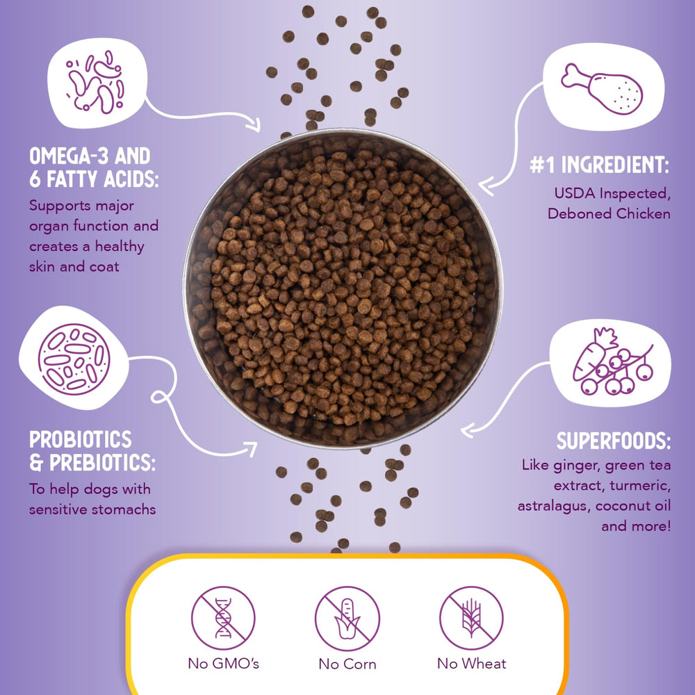 Health Extension Little Bites small-dog meal setup emphasizes convenience
