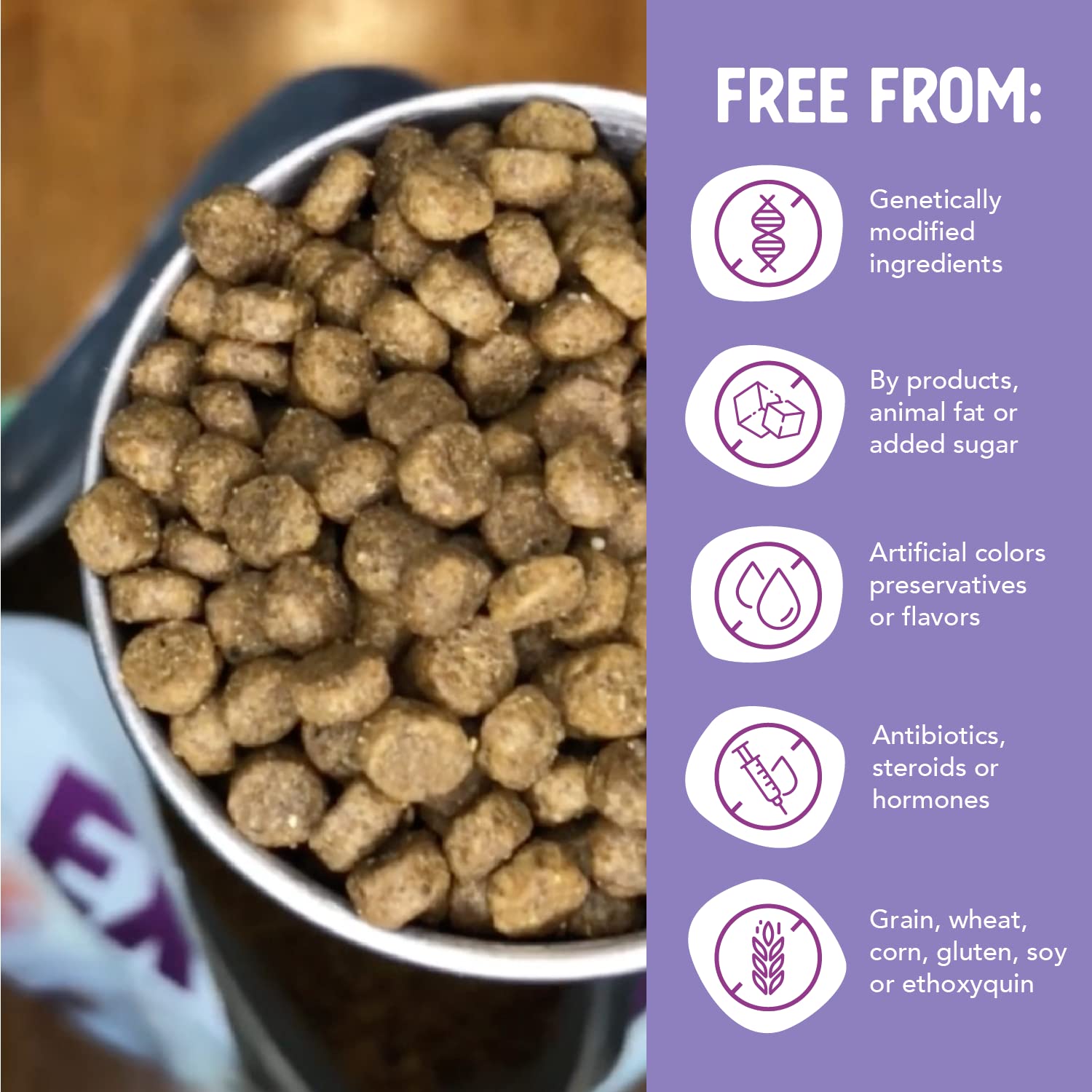 Health Extension Little Bites turmeric and coconut oil highlight anti-inflammatory comfort for small dogs