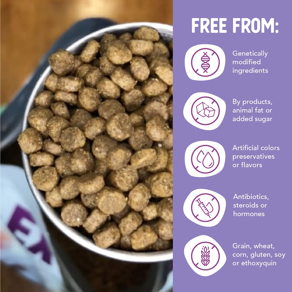 Health Extension Little Bites turmeric and coconut oil highlight anti-inflammatory comfort for small dogs