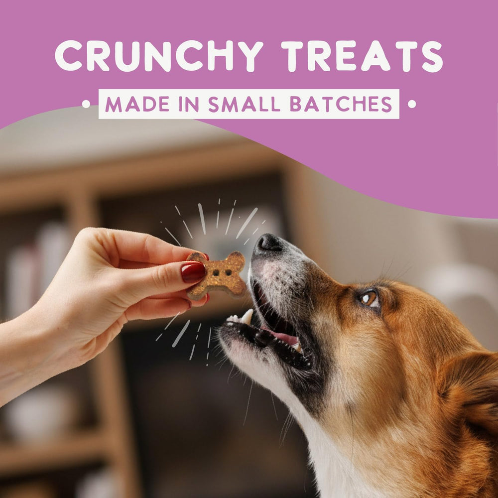 Health Extension made-in-the-USA label on premium dog treats.