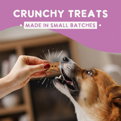 Health Extension made-in-the-USA label on premium dog treats.