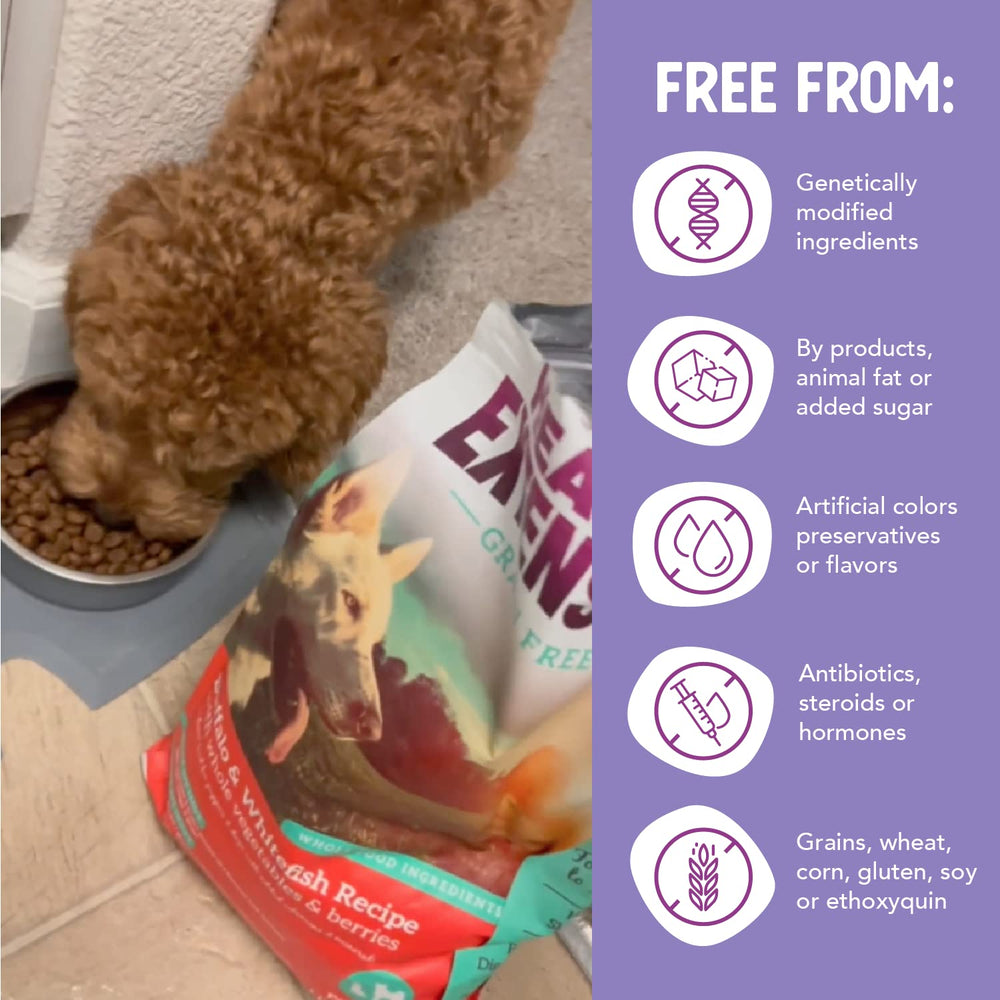 Health Extension no artificial colors or preservatives communicates a clean-label promise