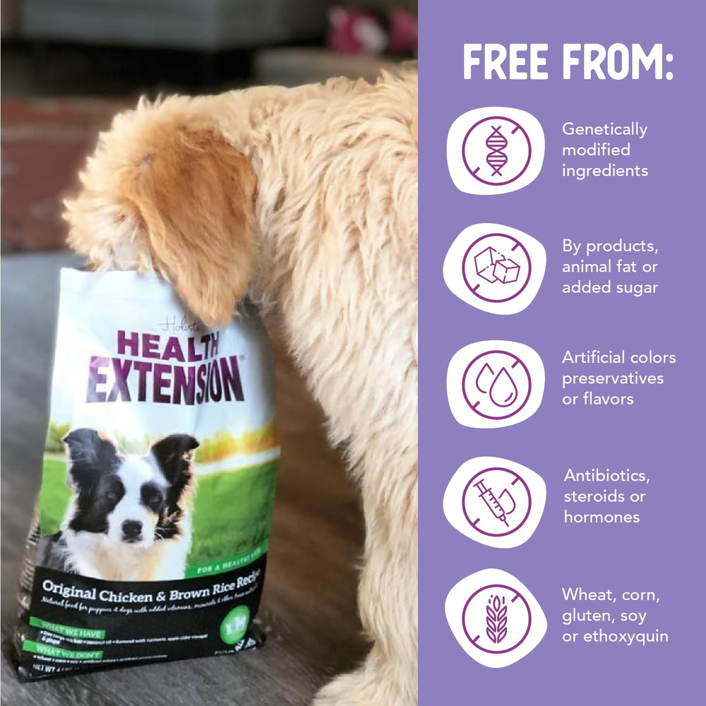 Health Extension Original kibble closeup emphasizes brown rice and gentle digestion benefits.