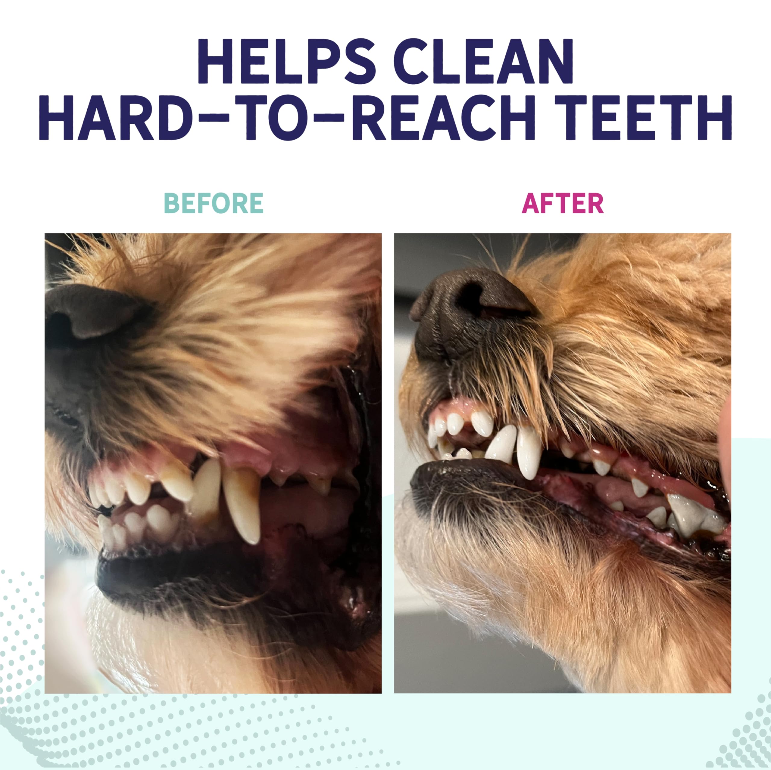 Dog chewing Health Extension Probiotic Dental Bones during playtime.
